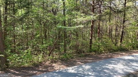 Photo of 0 Holcomb North Drive, Martin, GA 30557 (MLS # 10848491)