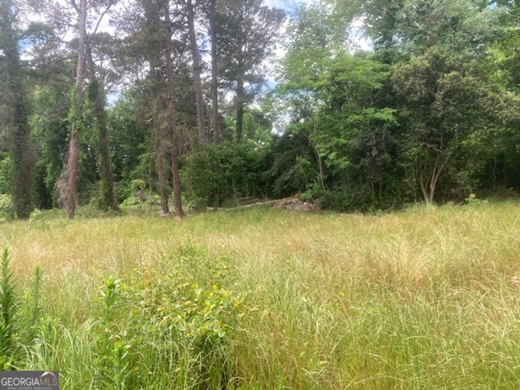 Photo of 141 Ramsey St, Milledgeville, GA 31061 (MLS # 10741967)