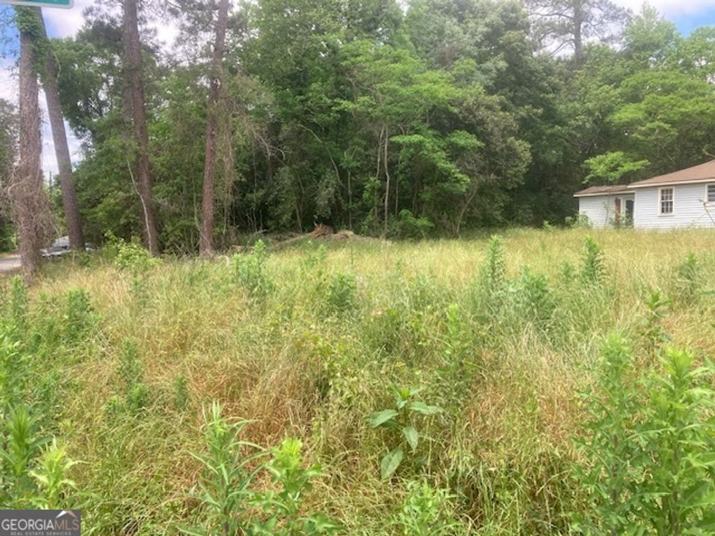 Photo of 141 Ramsey St, Milledgeville, GA 31061 (MLS # 10741967)