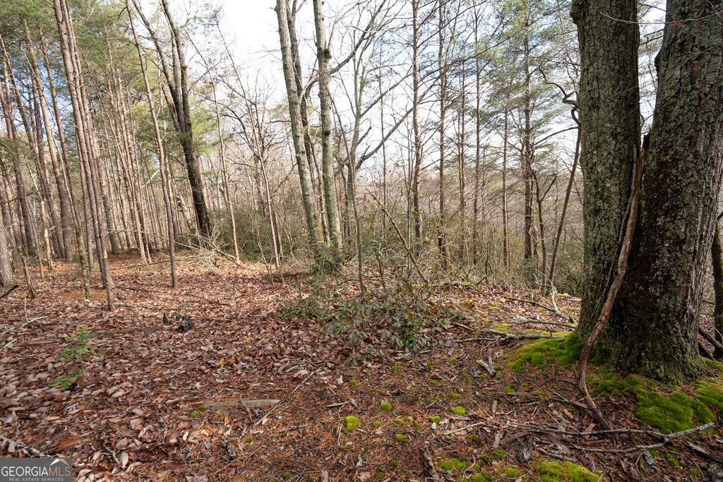 Photo of 1 Amber Court, Jasper, GA 30143 (MLS # 10654720)