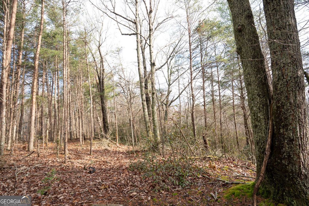 Photo of 1 Amber Court, Jasper, GA 30143 (MLS # 10654720)