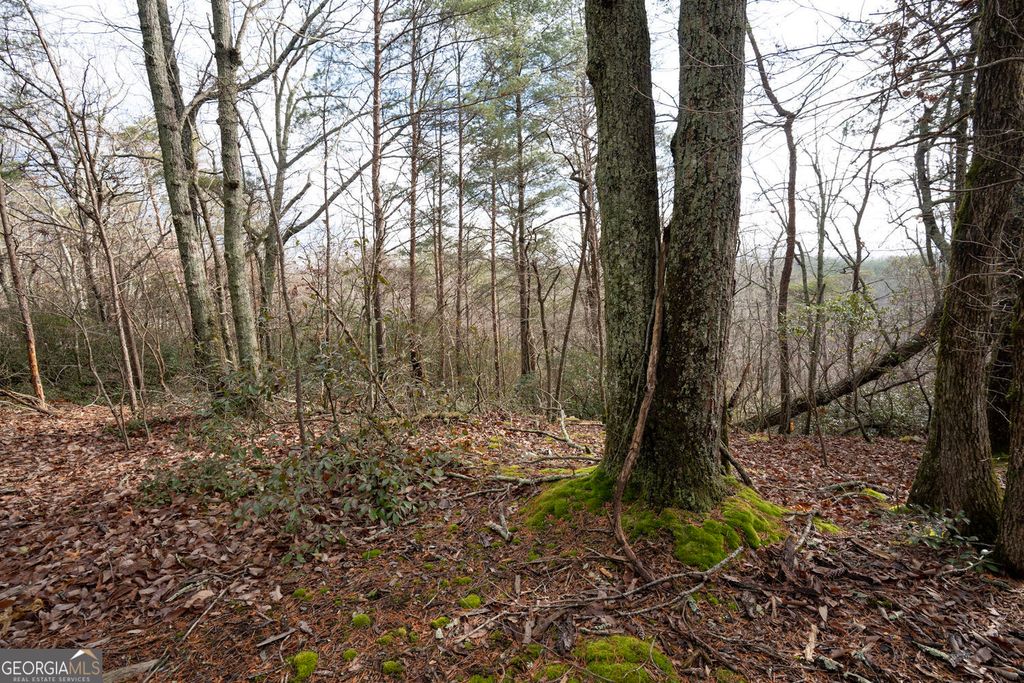 Photo of 1 Amber Court, Jasper, GA 30143 (MLS # 10654720)