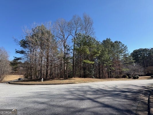 4440 BRONTE LN, DOUGLASVILLE, GA 30135 - Image 163781bcfe5173ffd35cbfd576f11ae2/3960184263