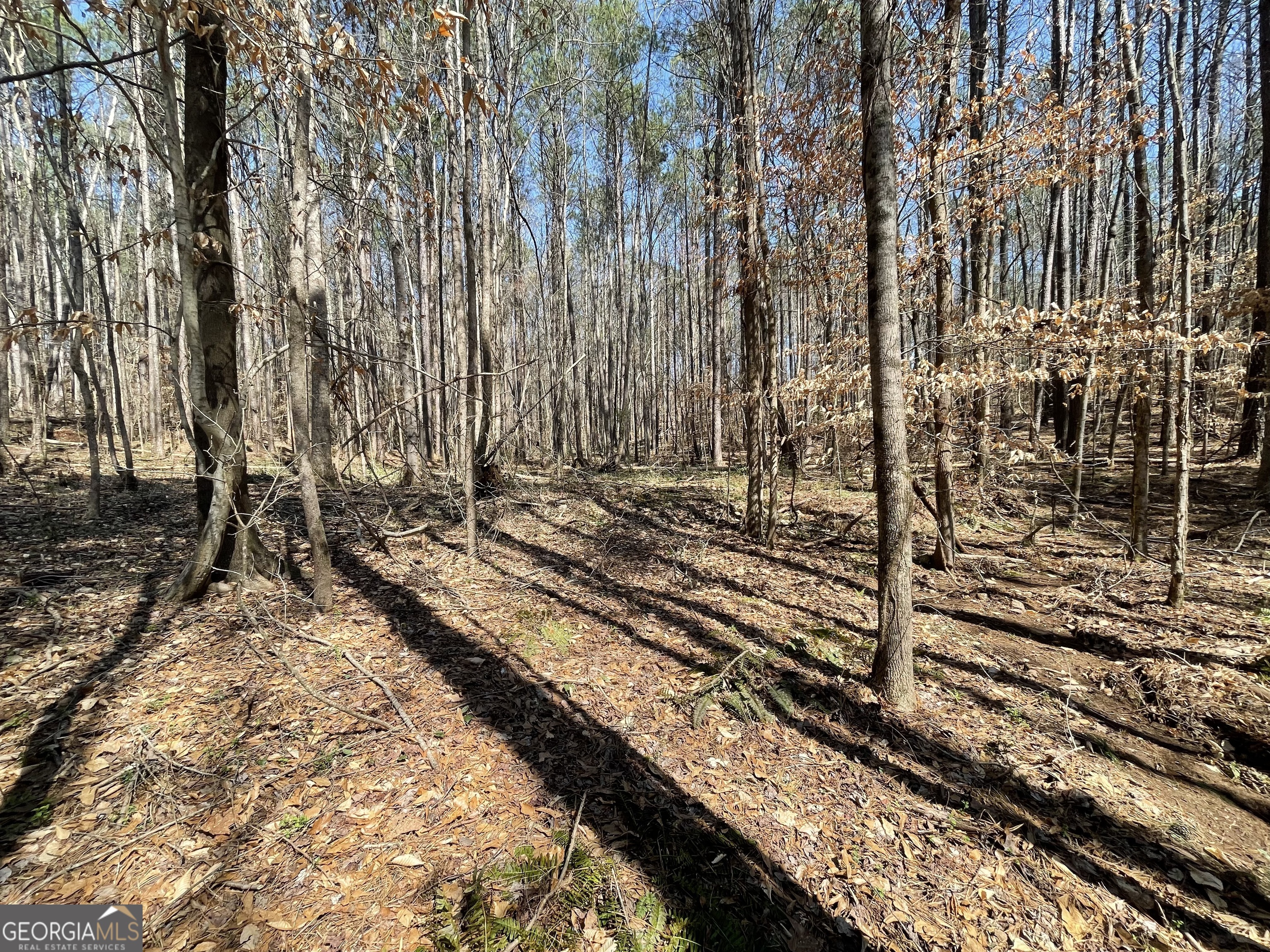 0 Joe Cook RD 4