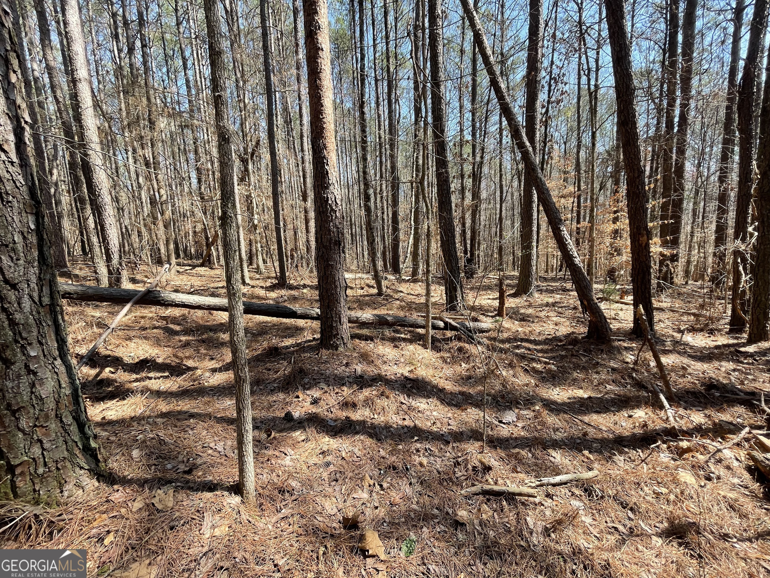 0 Joe Cook RD 4