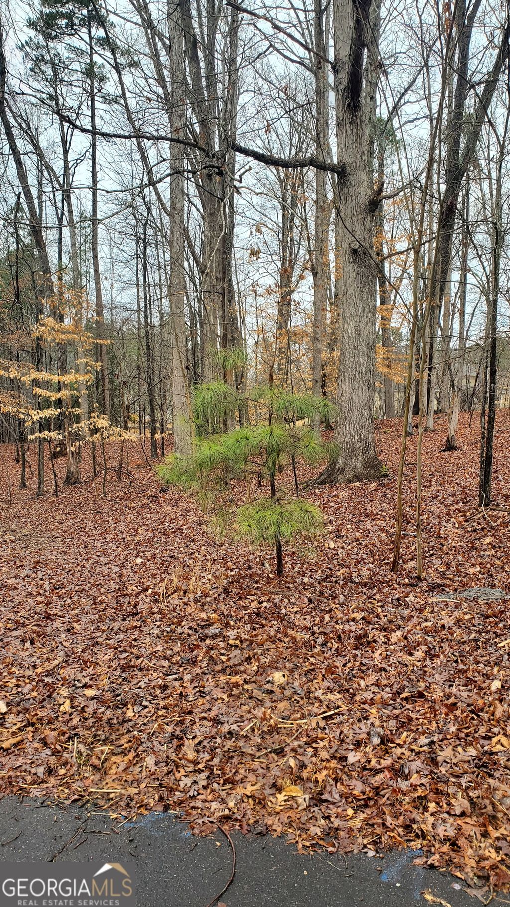 Photo of 5578 Stone Trace, Gainesville, GA 30504 (MLS # 10695165)