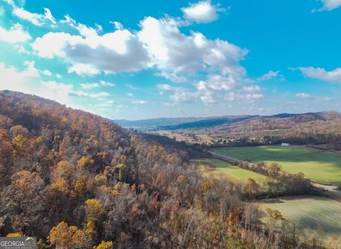 Photo of 0 US Highway 11 N, Attalla, AL 35954 (MLS # 10645003)