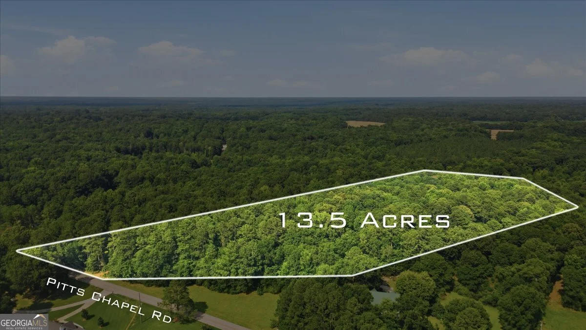 308 Pitts Chapel Road, Newborn, GA, 30056