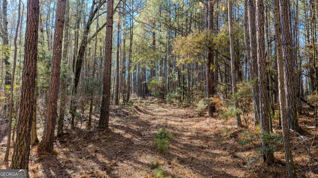 Photo of 0 Antioch Road, LaGrange, GA 30240 (MLS # 10656005)
