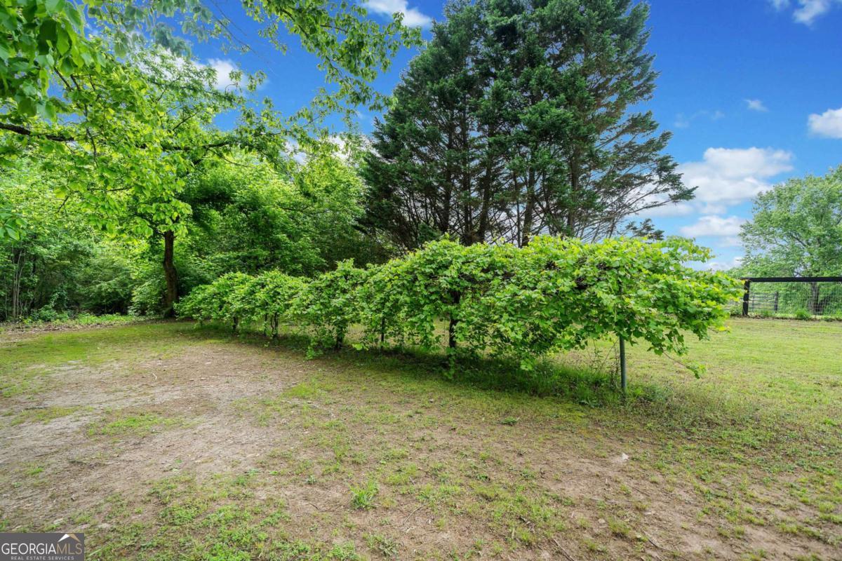 None - 5.2 acres - Residential