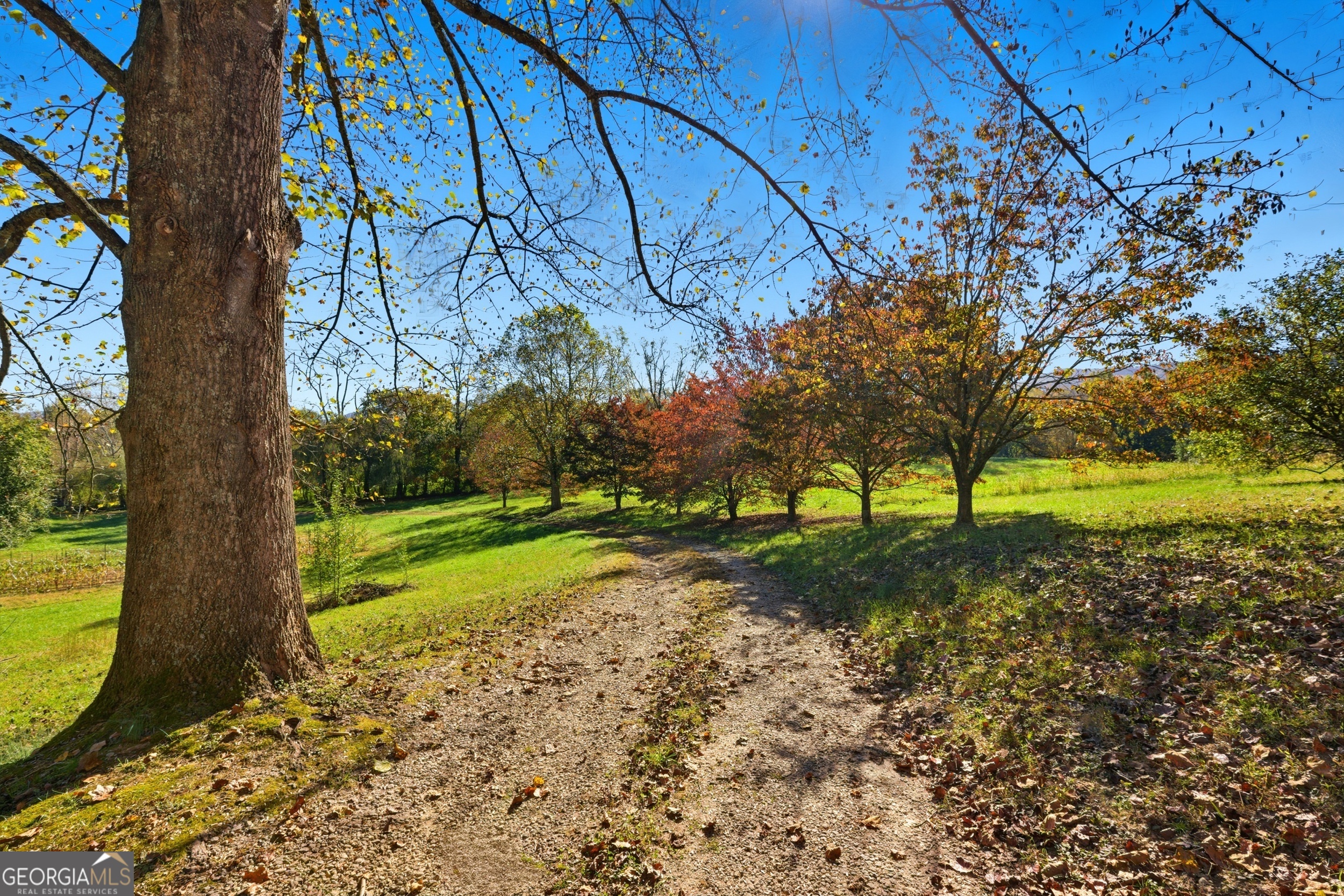 Rabun Gap, Georgia 30568, United States, 4 Bedrooms Bedrooms, ,3 BathroomsBathrooms,Residential,Active,244213
