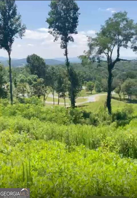 Photo of 16 Big Valley Drive, Morganton, GA 30560 (MLS # 10453062)