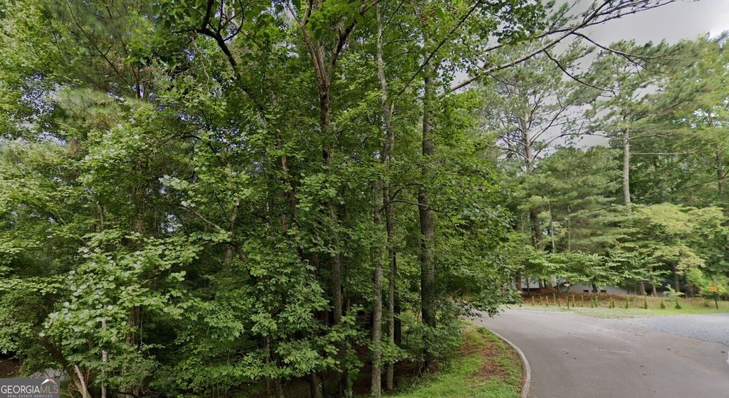 Photo of 0 Mango Lane #LOT 704, Ellijay, GA 30540 (MLS # 10764743)