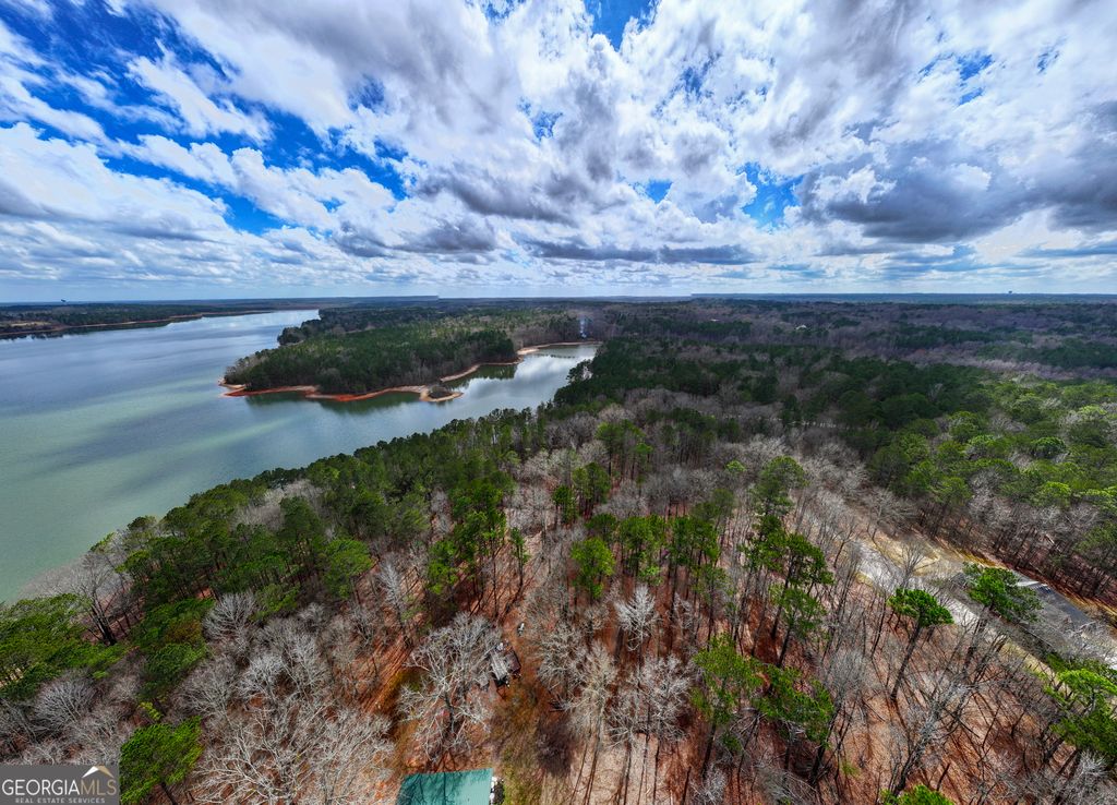 Photo of 3 Happy Hollow Road, Hampton, GA 30228 (MLS # 10709126)