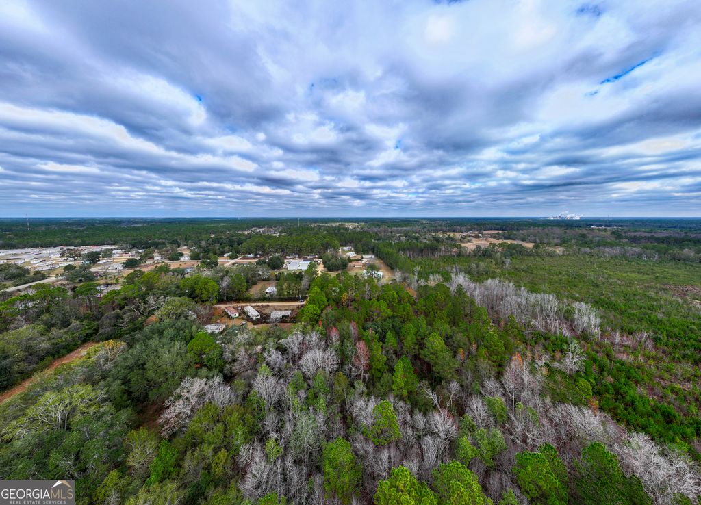 Photo of 120 Womack Road #1.4 ACRES, Jesup, GA 31545 (MLS # 10654925)