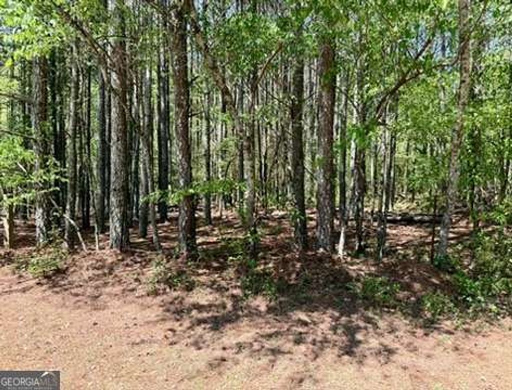 Photo of 0 Haw Creek Drive, Cumming, GA 30041 (MLS # 10728679)