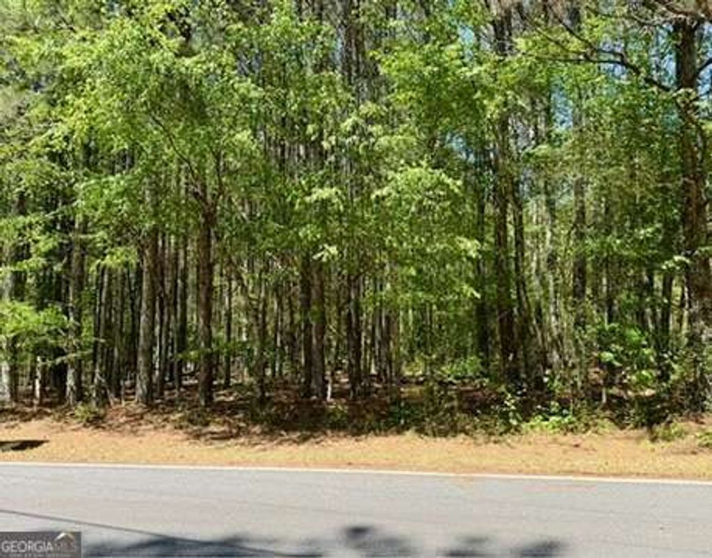 Photo of 0 Haw Creek Drive, Cumming, GA 30041 (MLS # 10728679)