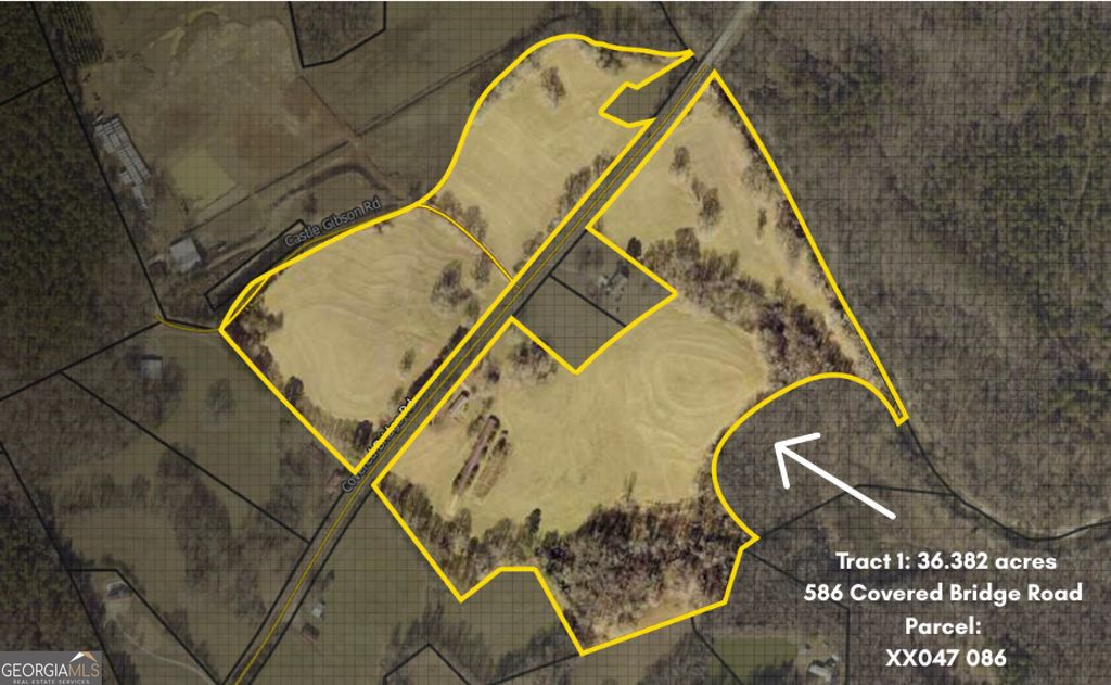 Photo of 586 Covered Bridge Road, Hoschton, GA 30548 (MLS # 10700779)