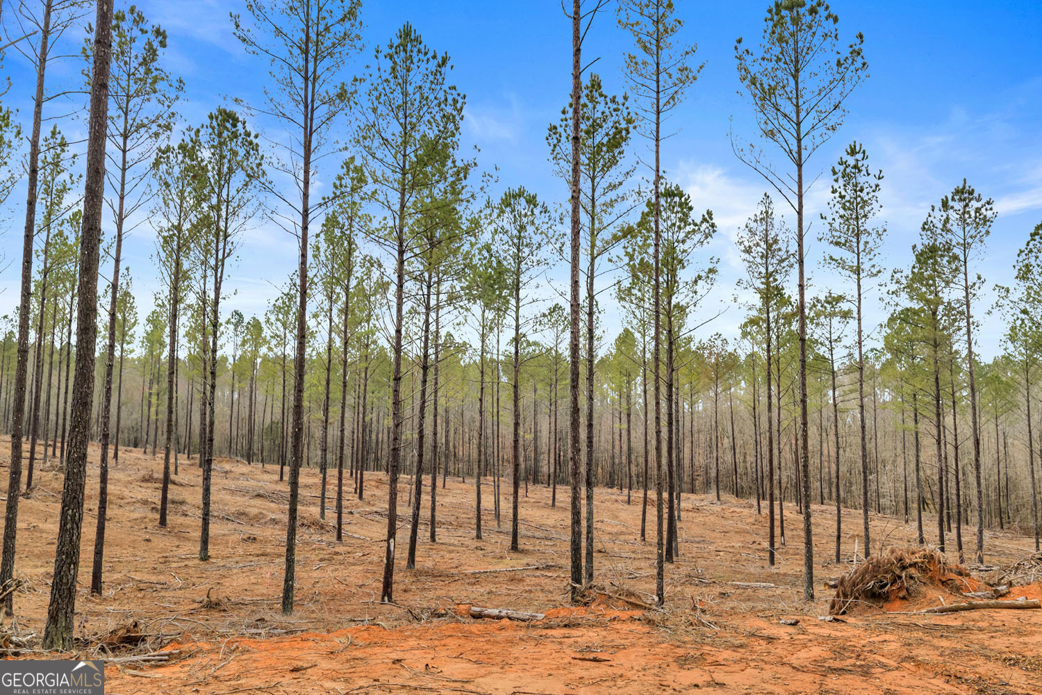 10 LEXINGTON ESTATES