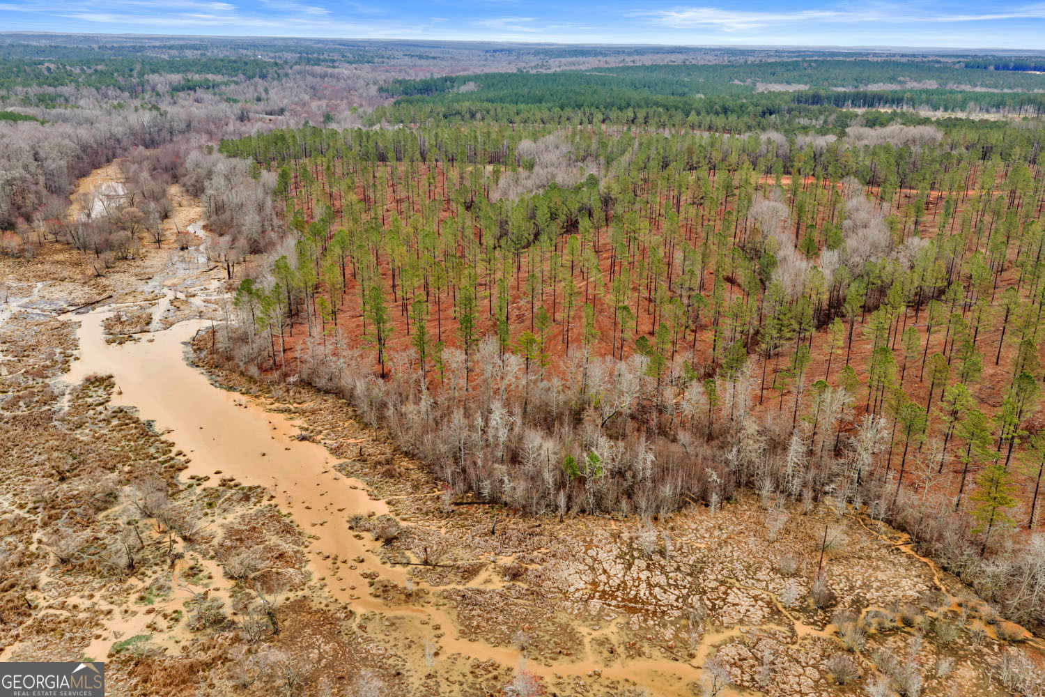 10 LEXINGTON ESTATES