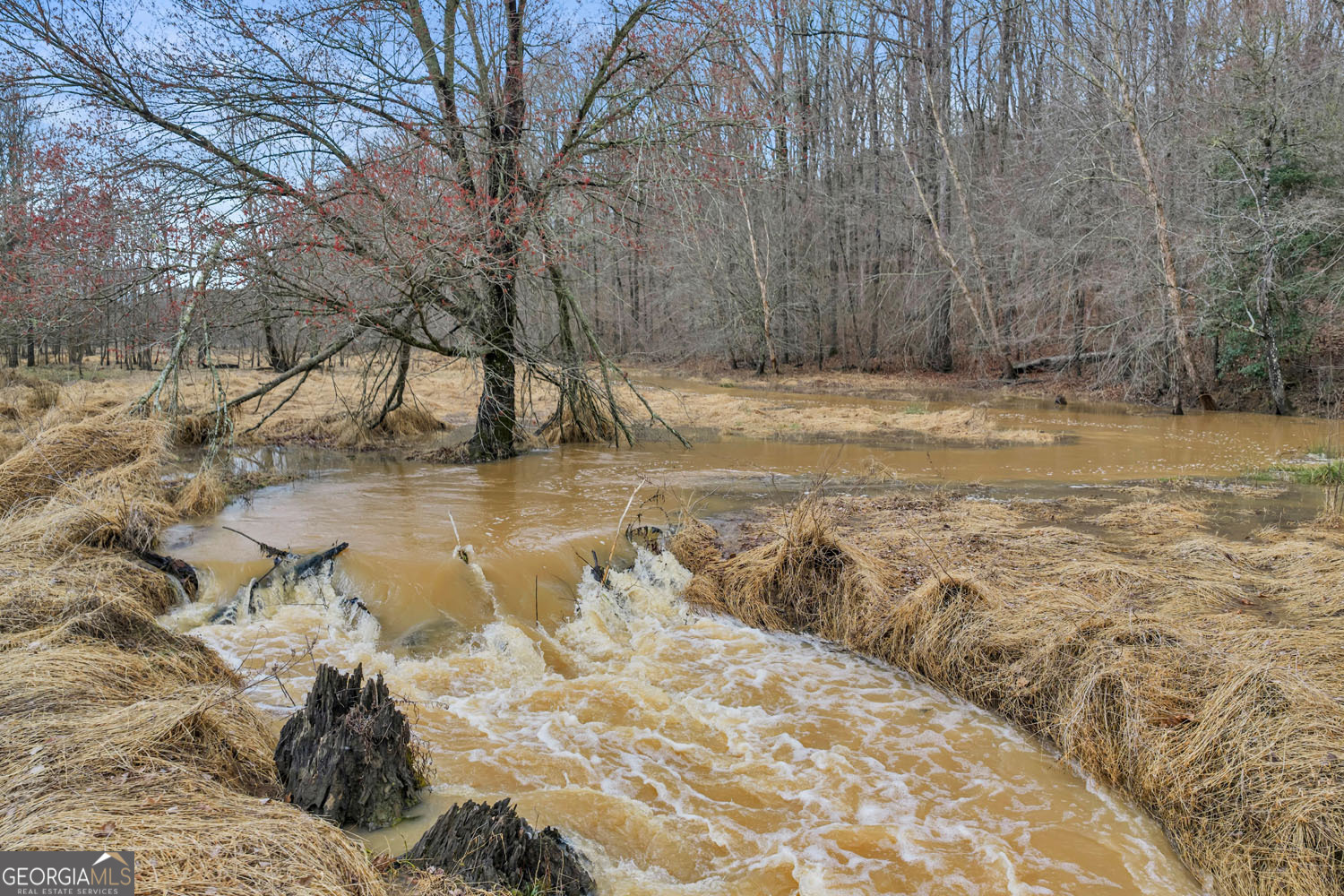 10 LEXINGTON ESTATES