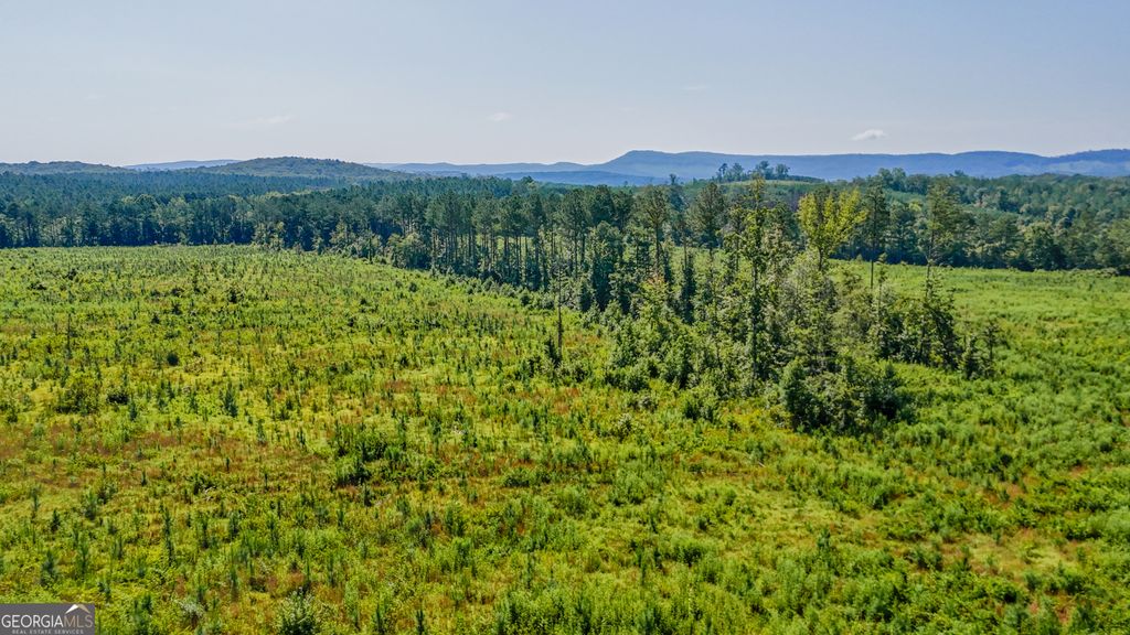 Photo of 1 Back Valley Road, Lyerly, GA 30730 (MLS # 10708600)