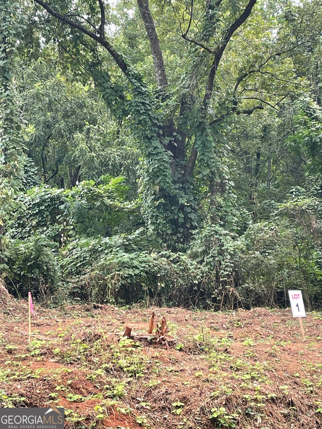 Photo of 310 Hightower Trail, Oxford, GA 30054 (MLS # 10665027)