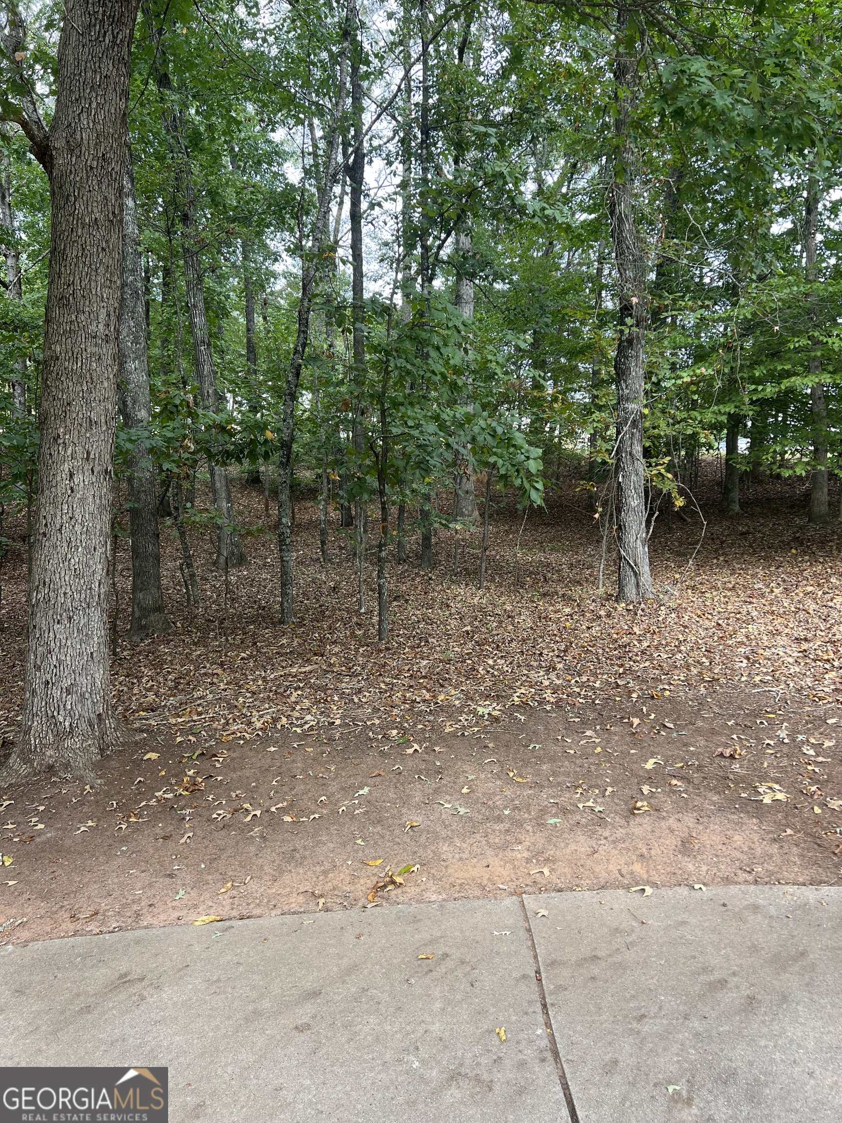 1078 Crescent River PASS