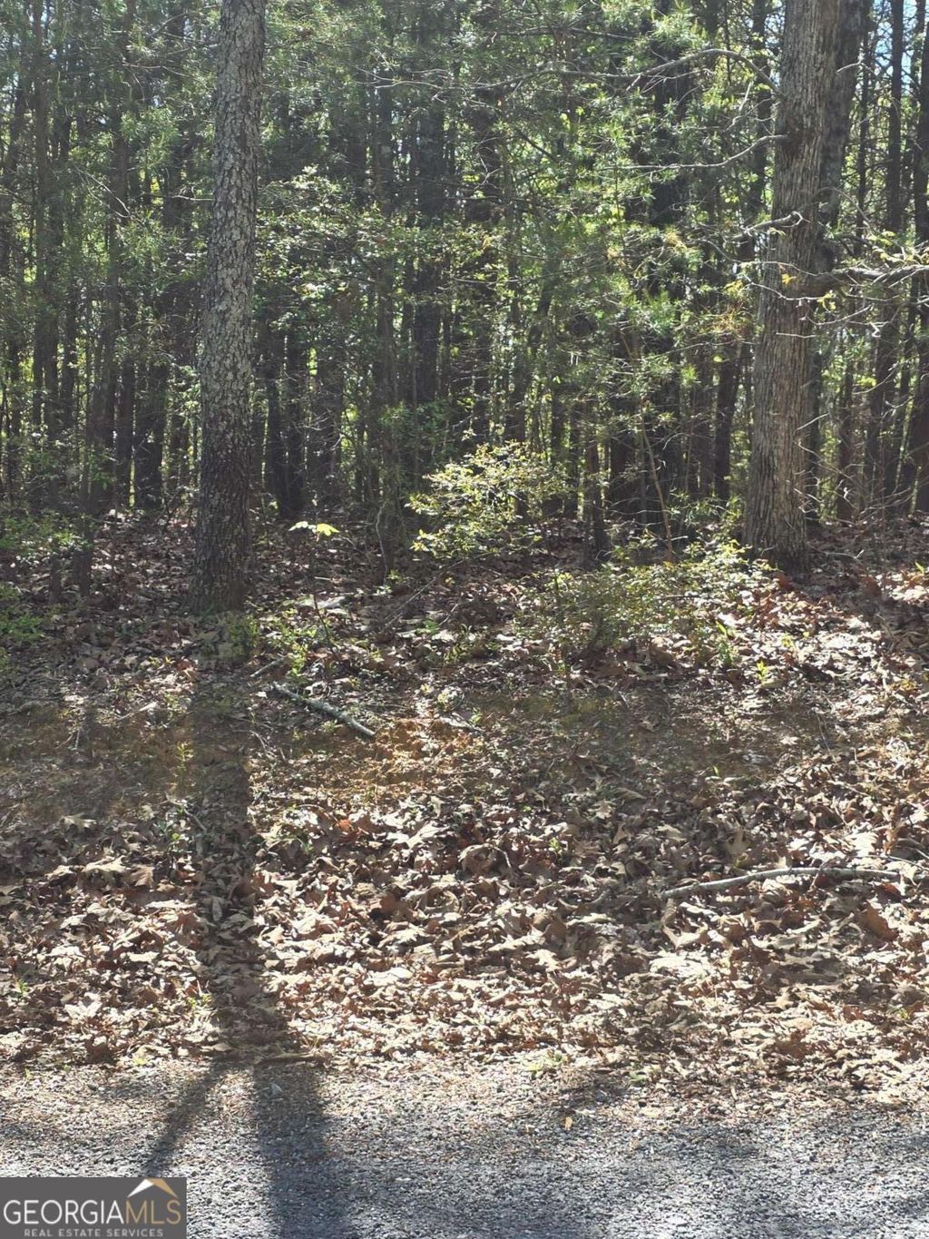 Photo of 1354 Hunter Drive, Ranger, GA 30734 (MLS # 10730204)