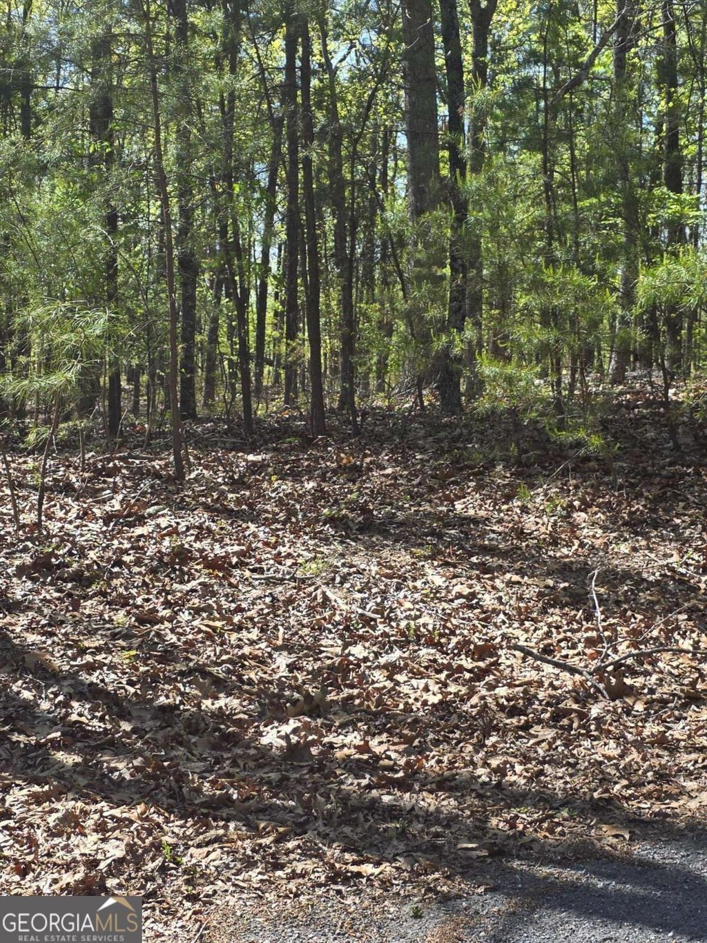 Photo of 1354 Hunter Drive, Ranger, GA 30734 (MLS # 10730204)