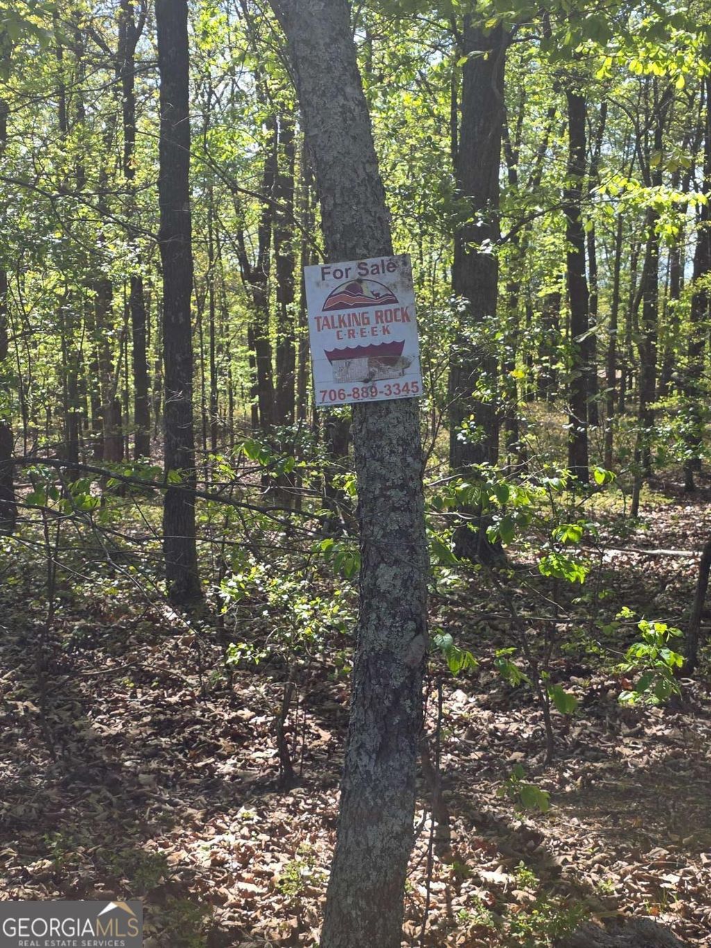 Photo of 1354 Hunter Drive, Ranger, GA 30734 (MLS # 10730204)