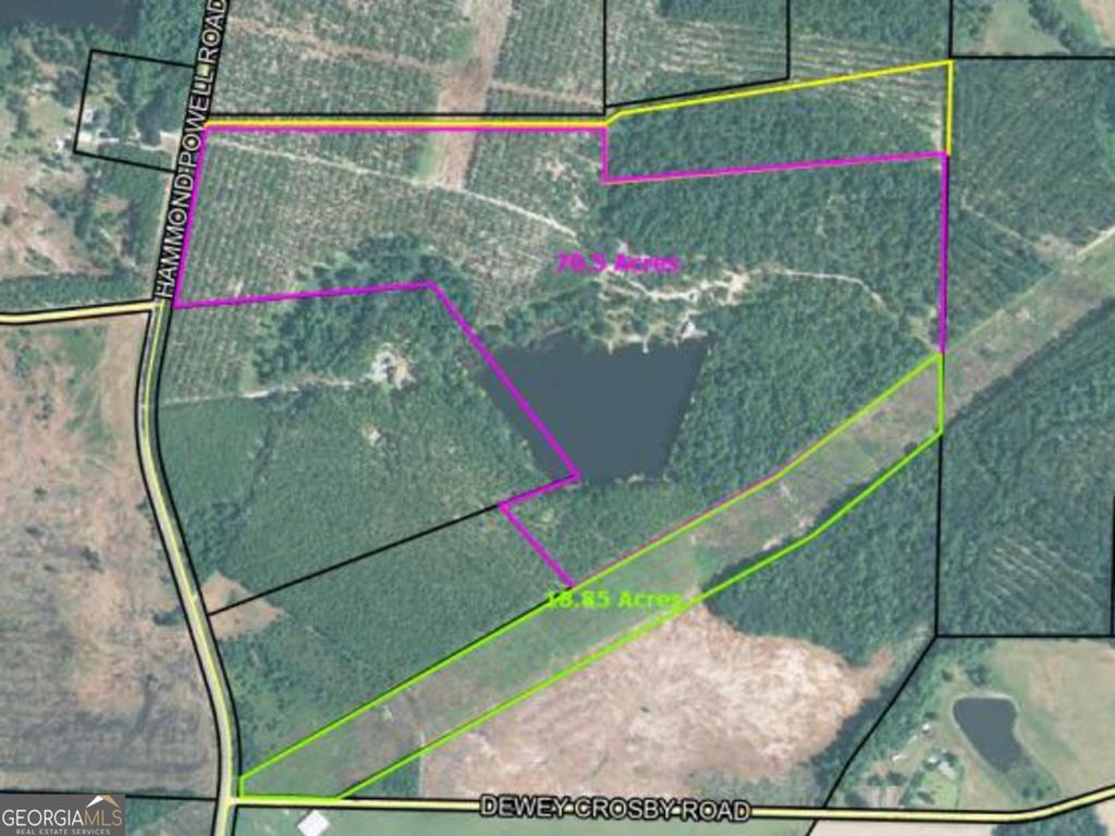 Photo of 0 Hammond Powell Road, Hazlehurst, GA 31539 (MLS # 10757847)