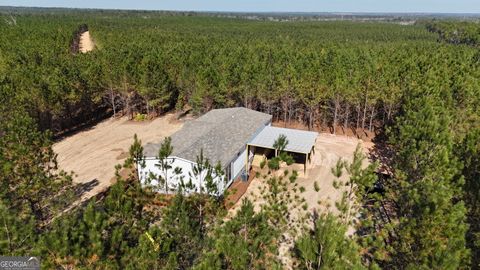 Photo of 1262 Penny Morris Road, Baxley, GA 31513 (MLS # 10650133)