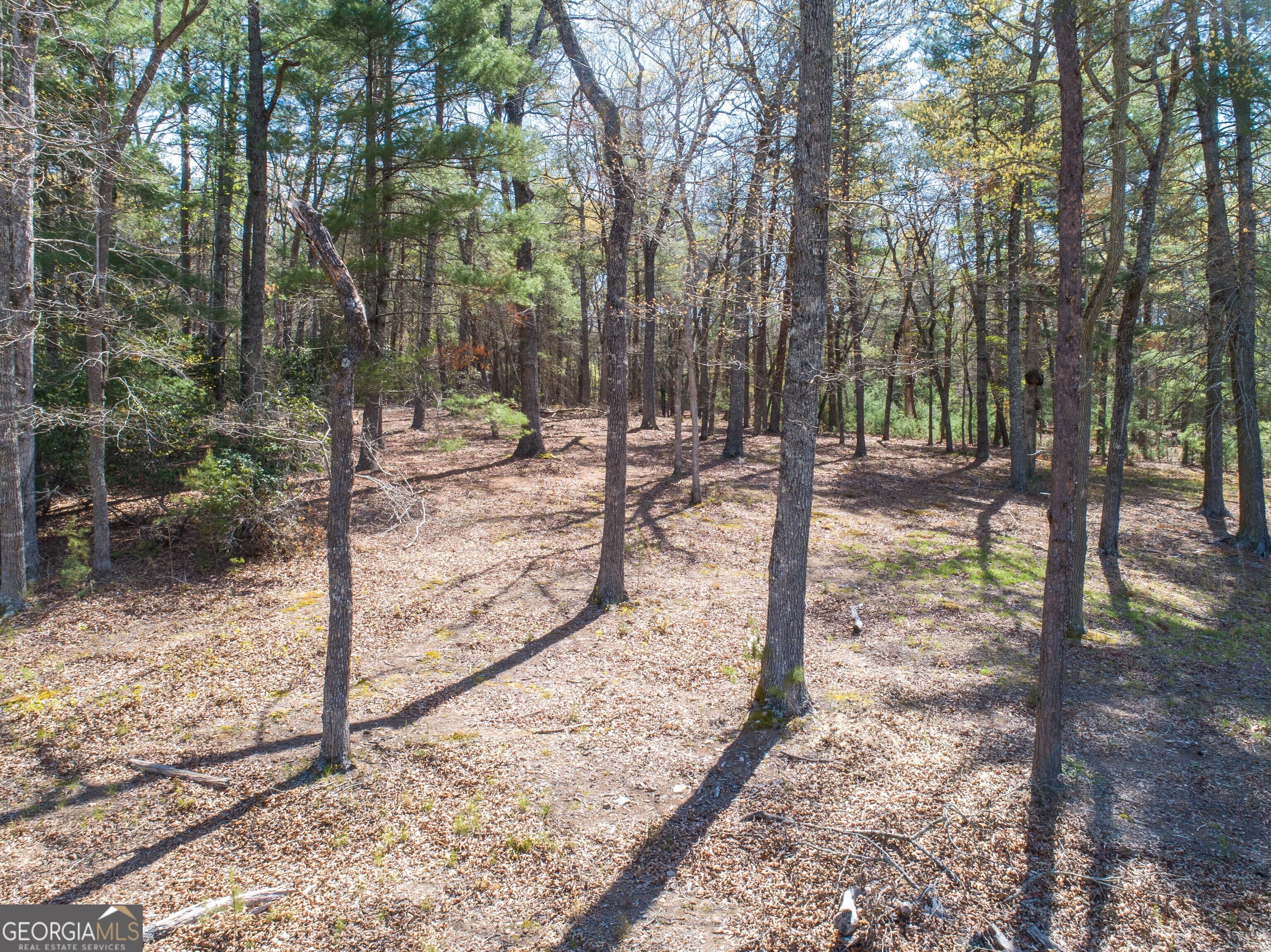 LOT 5 Lands End BLVD
