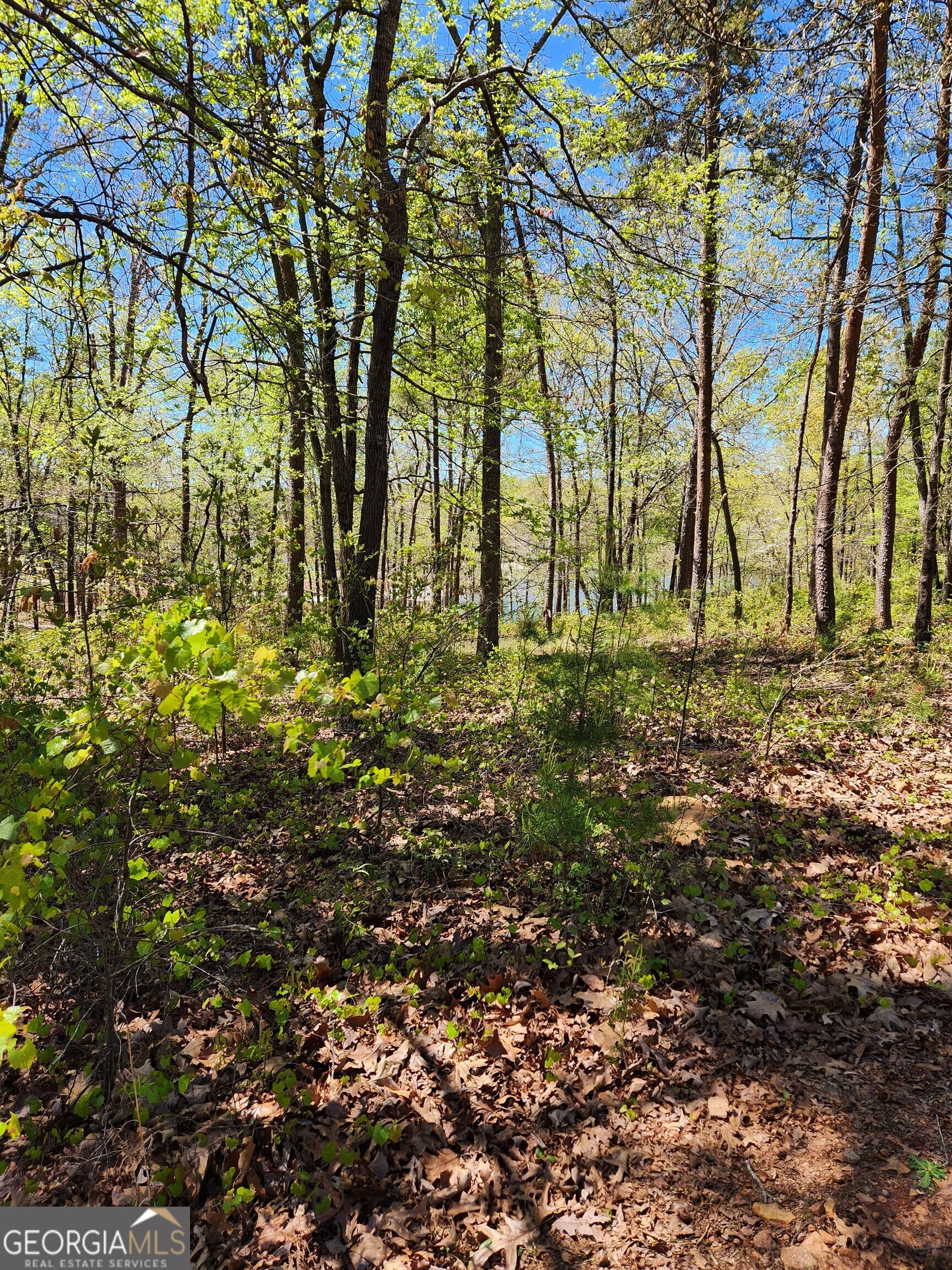 Gentle sloped lakefront lot just waiting for your floor plan. Nice view of the lake. Perfect basement lot. Blue Water Estates boast homes of 1 million plus. Lot is in Green zone but would require Corp approval for dock.