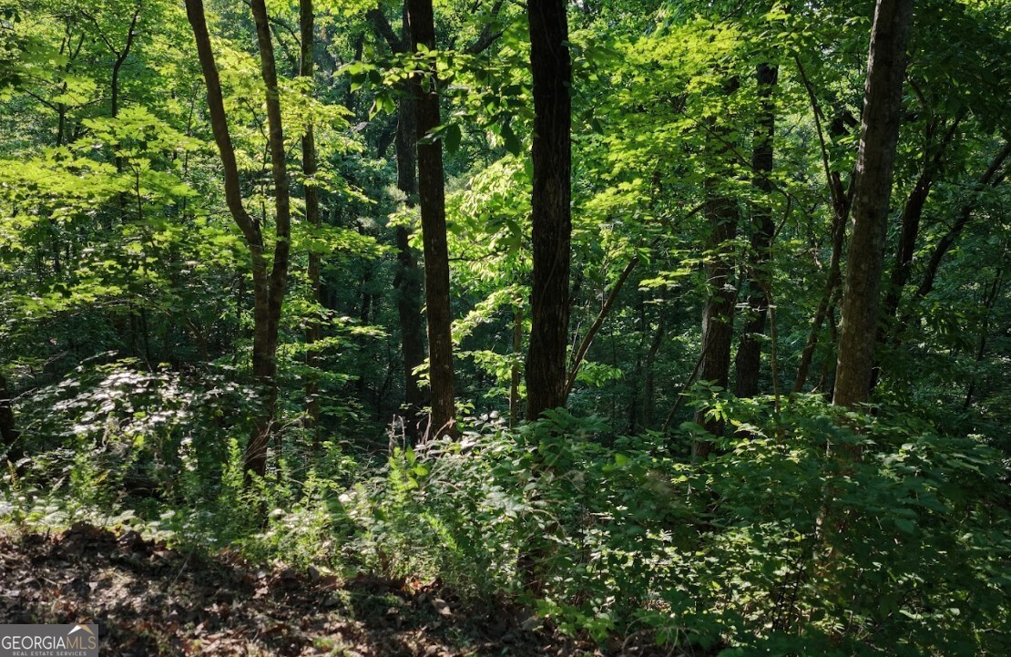 115 Carters Overlook