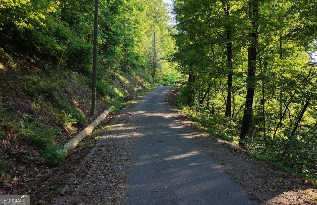 115 Carters Overlook