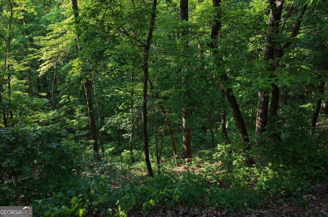 115 Carters Overlook