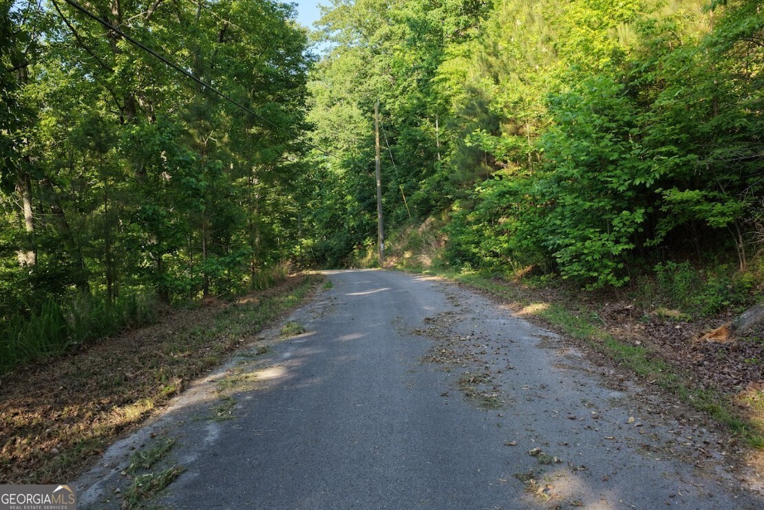 115 Carters Overlook