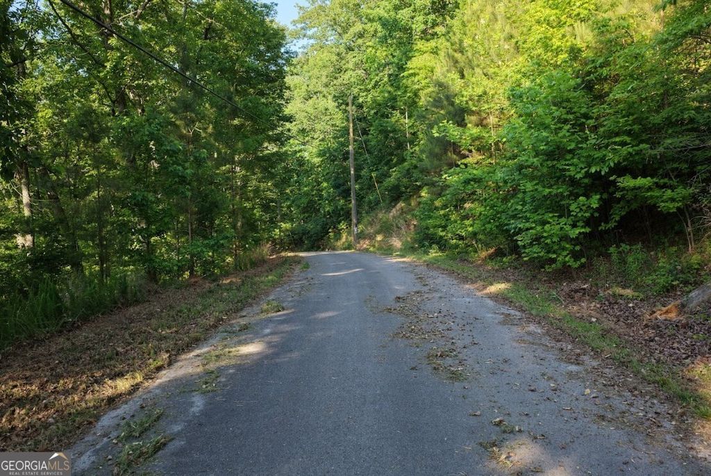 Photo of 115 Carters Overlook DR, Ranger, GA 30734 (MLS # 10769510)