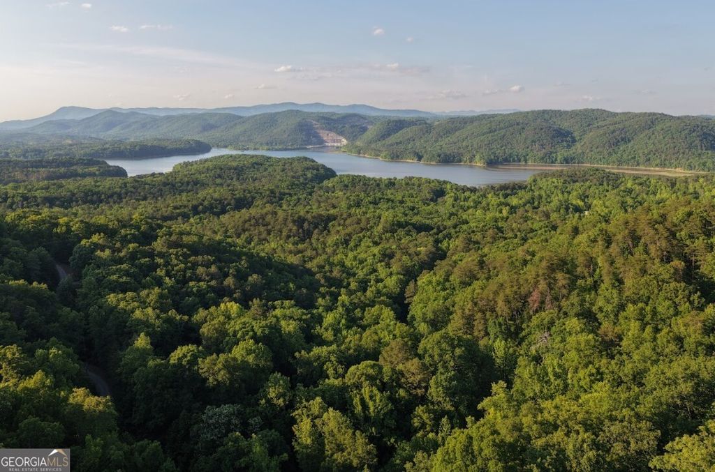 Photo of 115 Carters Overlook DR, Ranger, GA 30734 (MLS # 10769510)