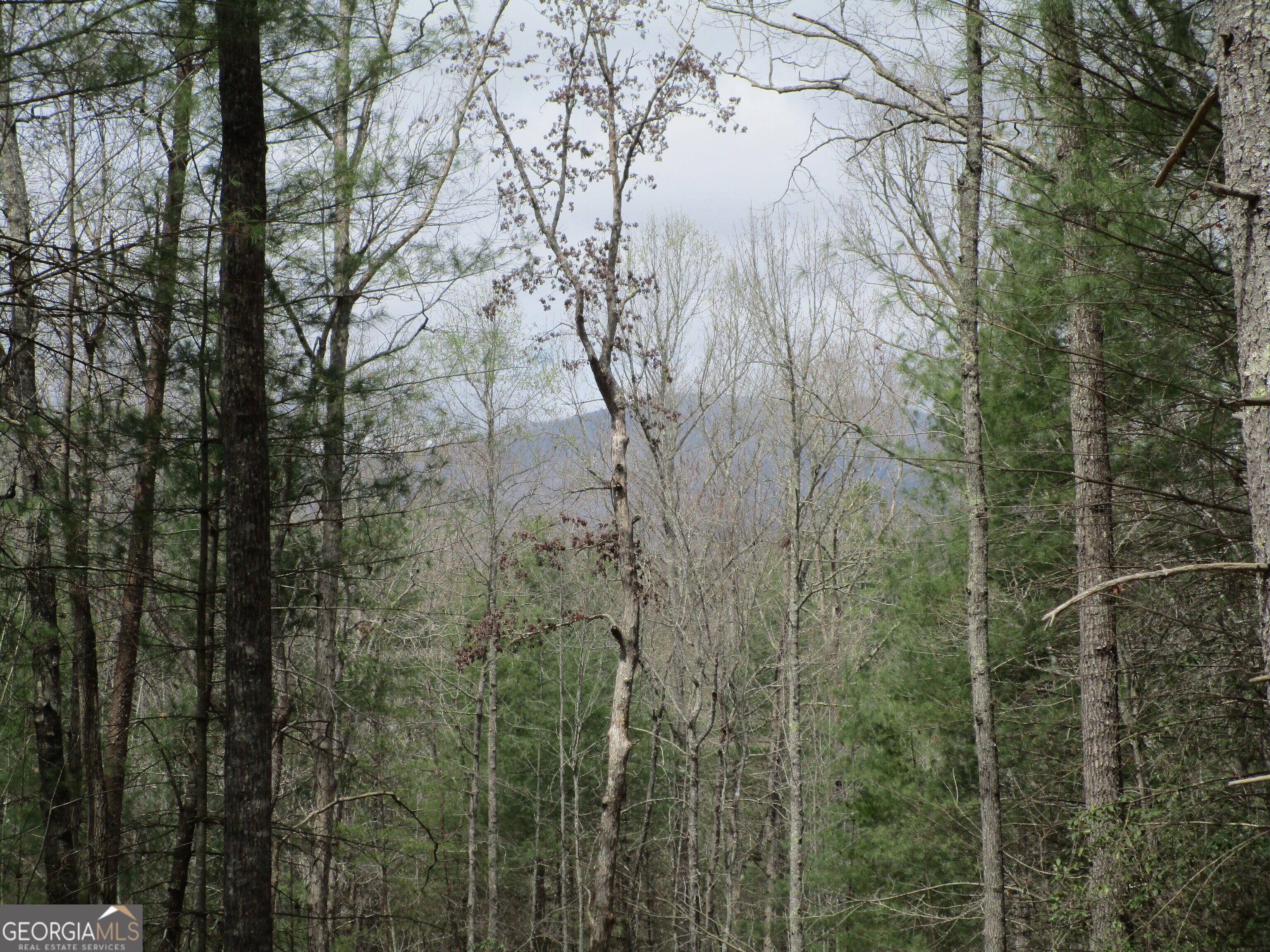 0 East New Hope RD TRACT B