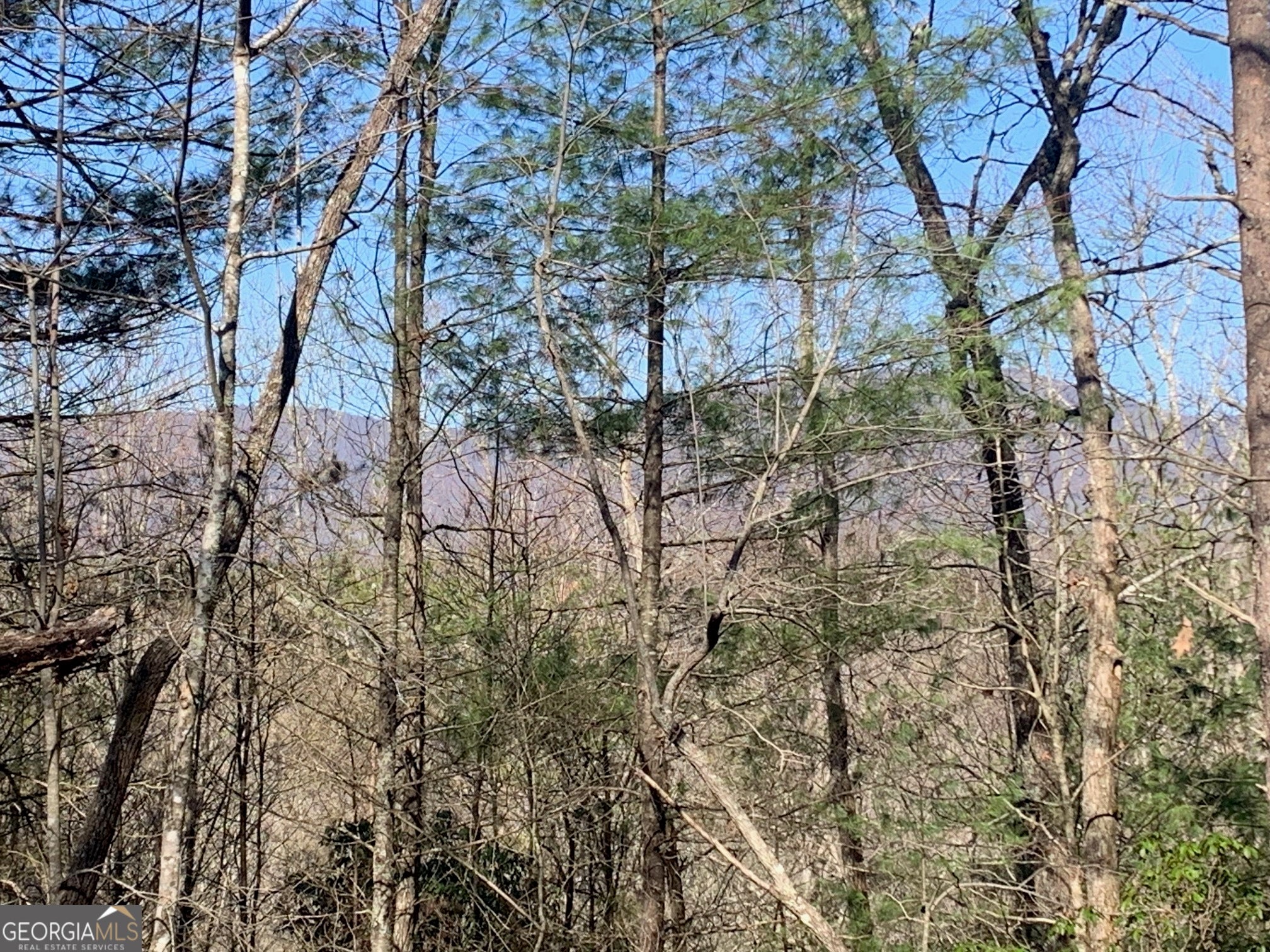0 East New Hope RD TRACT B