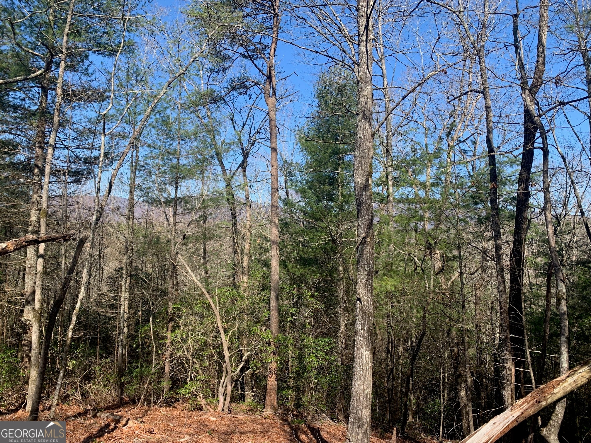 0 East New Hope RD TRACT B