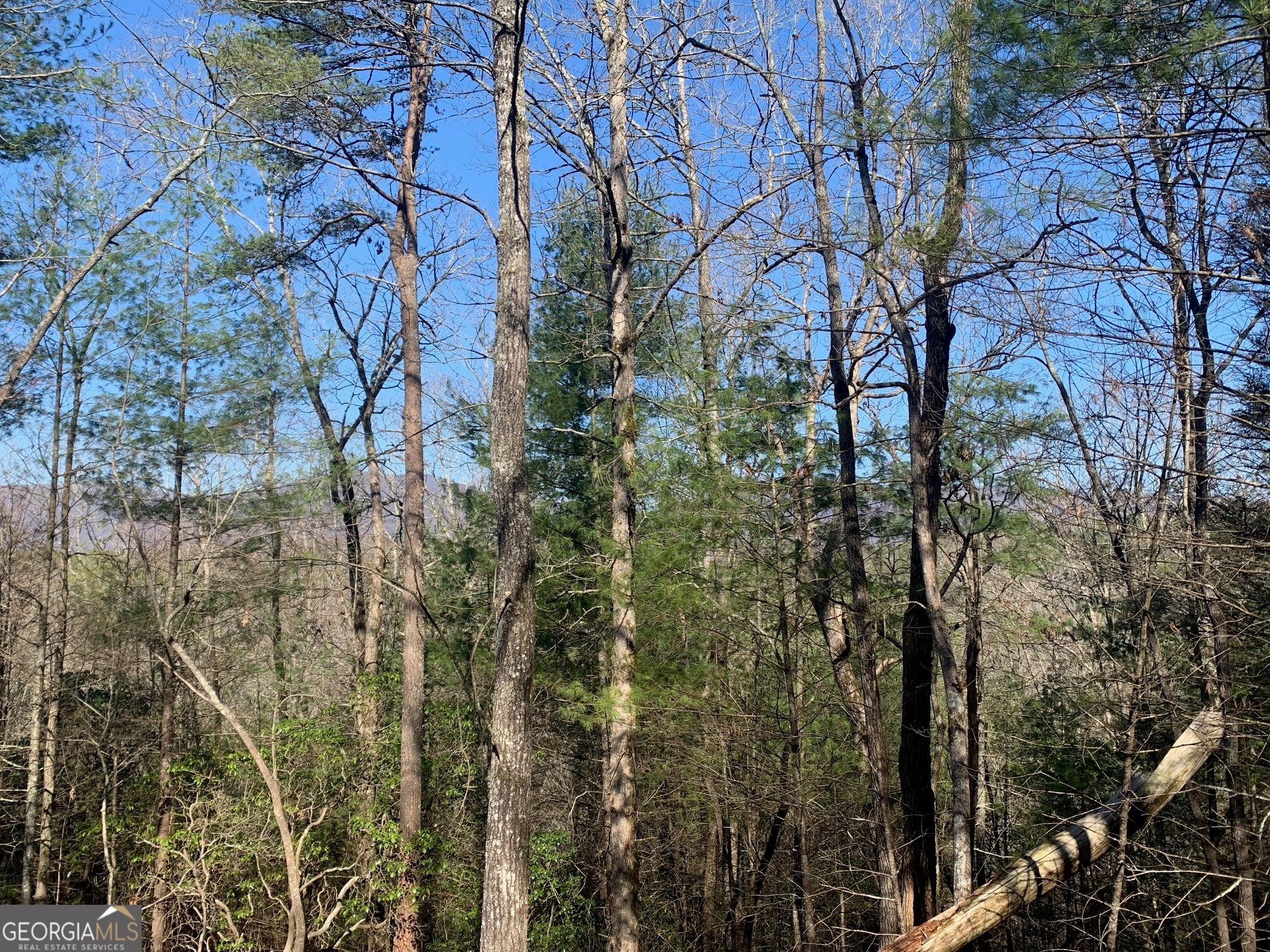 0 East New Hope RD TRACT B
