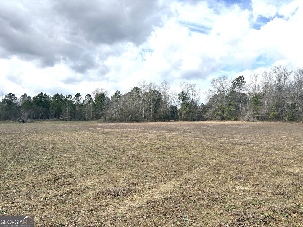 Photo of 4 Keysville-Boggs Academy Road, Keysville, GA 30816 (MLS # 10705026)