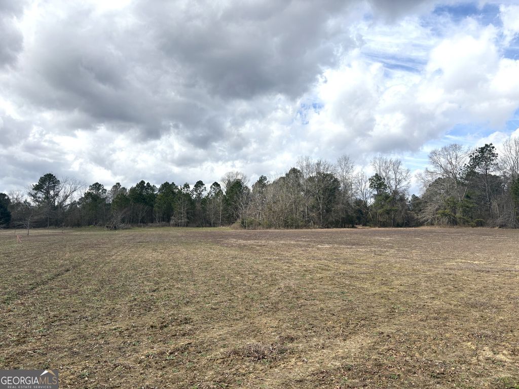 Photo of 4 Keysville-Boggs Academy Road, Keysville, GA 30816 (MLS # 10705026)