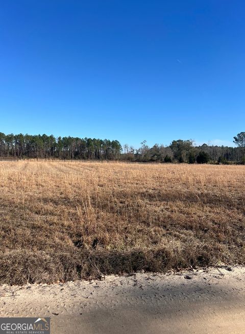 Photo of 2 Little Hurricane Creek Rd, Waycross, GA 31503 (MLS # 10680399)
