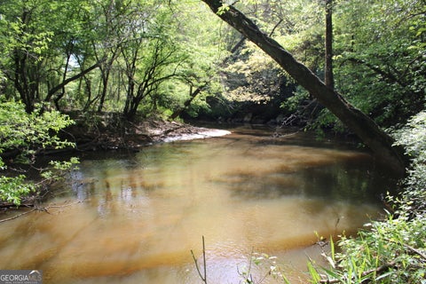Photo of 0 Ruffner Road, Barnesville, GA 30204 (MLS # 10772548)