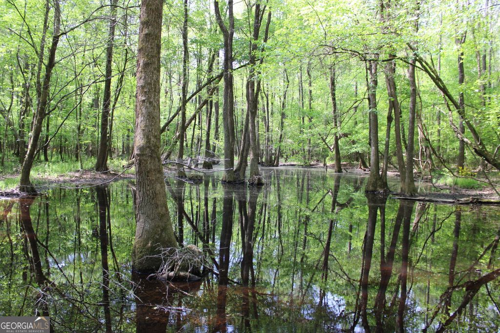 Photo of 00 Ruffner Road, Barnesville, GA 30204 (MLS # 10772548)